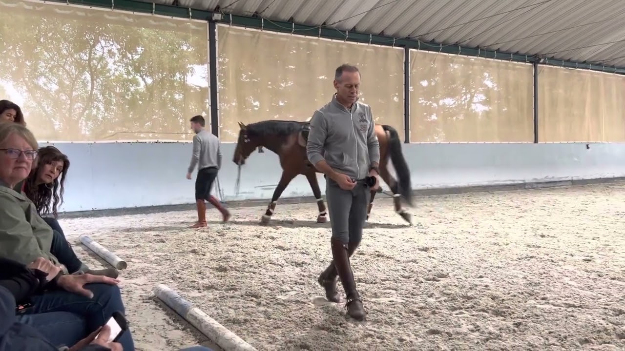 Pedro Torres 4