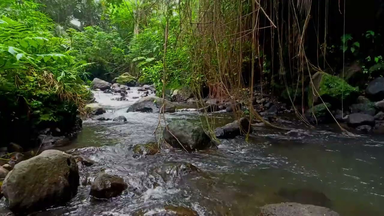Relaxing Night River Sounds | Flowing Water White Noise for Insomnia Relief