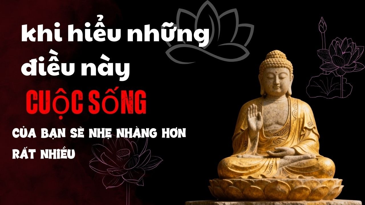 “Khi Hiểu Được Điều Này, Bạn Sẽ Không Còn So Sánh Bản Thân Với Người Khác”