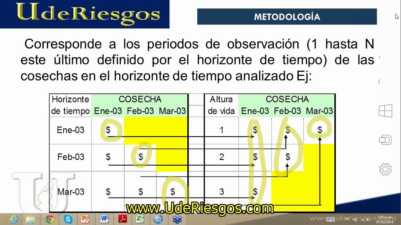 Análisis de Cosechas de Crédito
