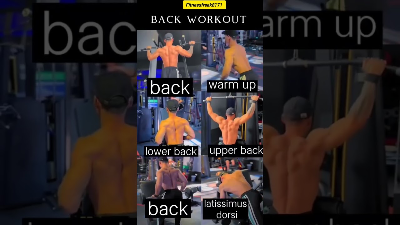 Full back workout at gym | Back exercises | 