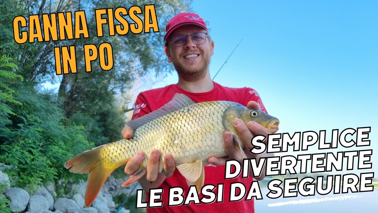 Come PESCARE in CANNA FISSA IN PO