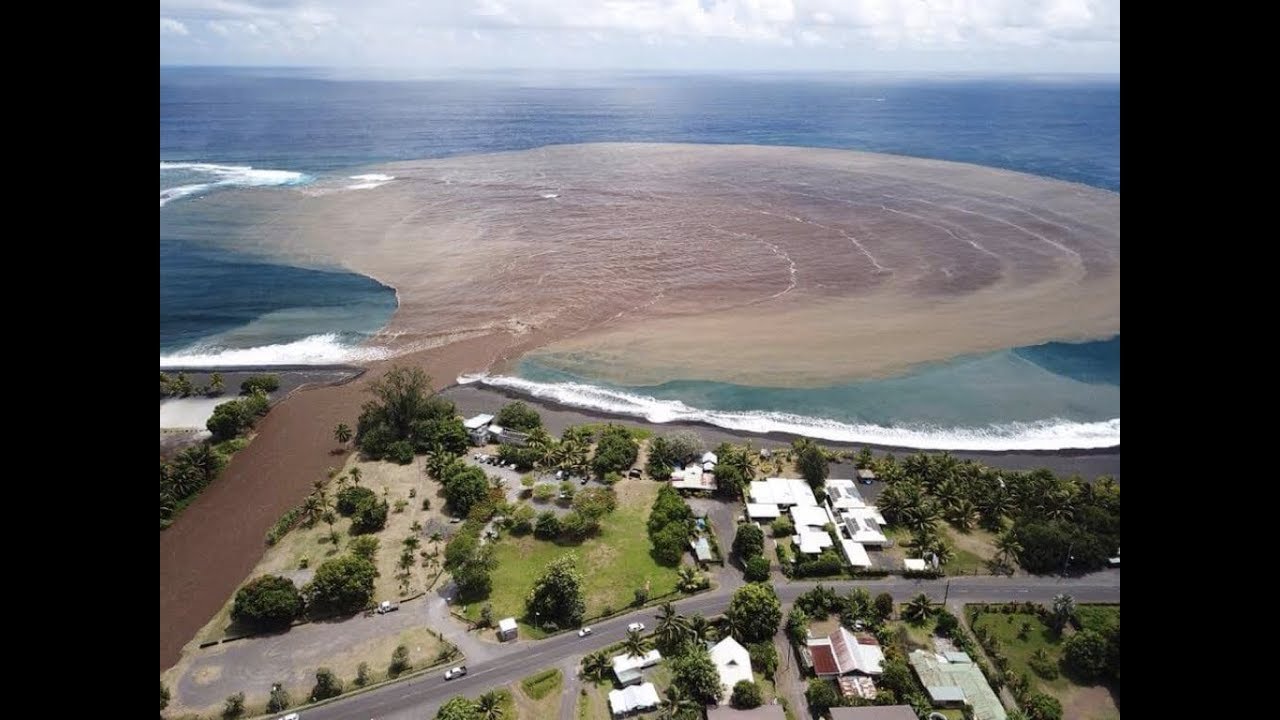 Seasteading! Where Does the Poop Go?
