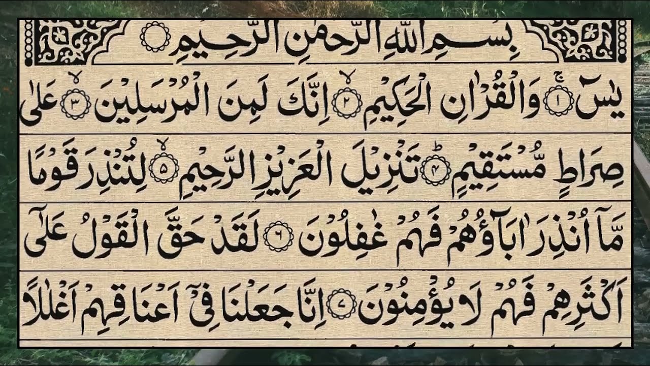 Surah Yasin (Yaseen) Full | سورۃ یس 🕌✨🕌🧡Surah Yasin Full | تلاوة رائعة لسورة يس | Beautiful Quran 🕌