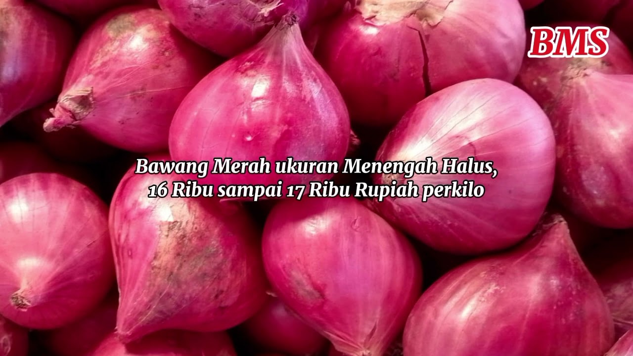 Info dari pasar sayur alahan panjang
