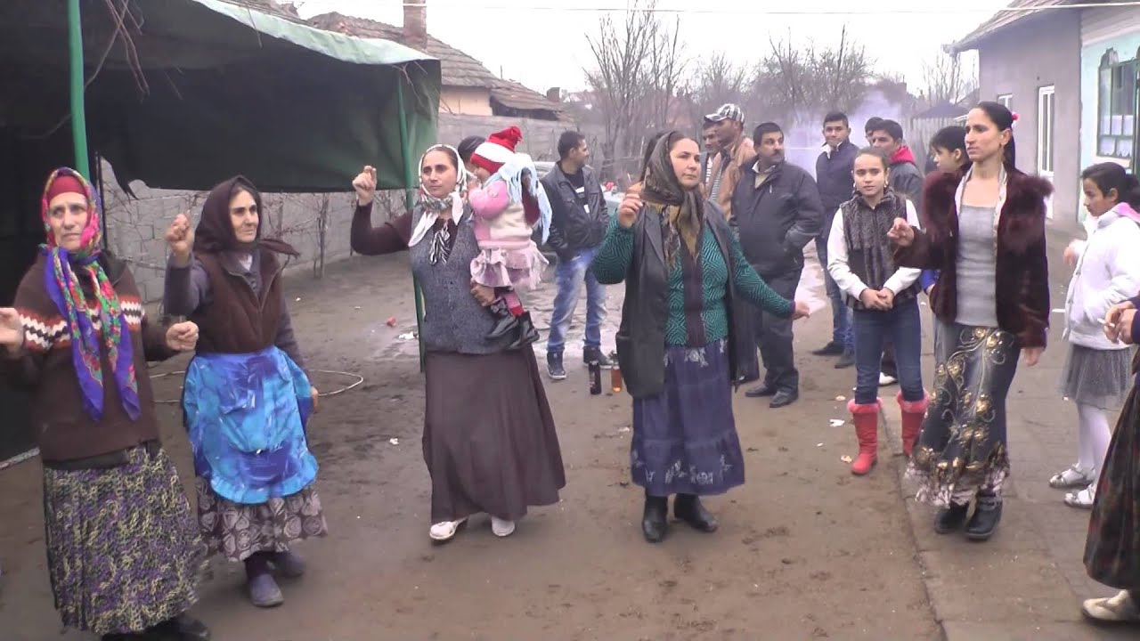 logodna puiu bailesti 1