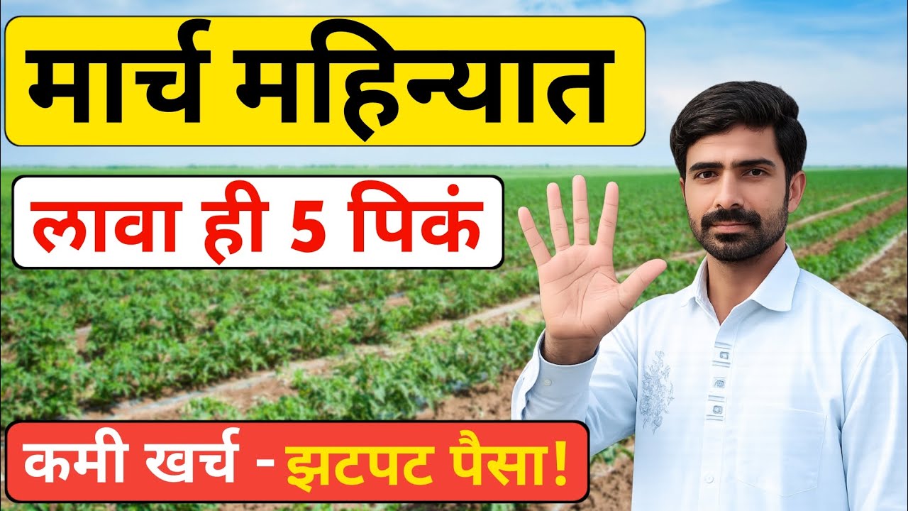 मार्च महिन्यात लावा ही 5 पिकं 🌱| कमी वेळात कमी खर्चात झटपट नफा💰