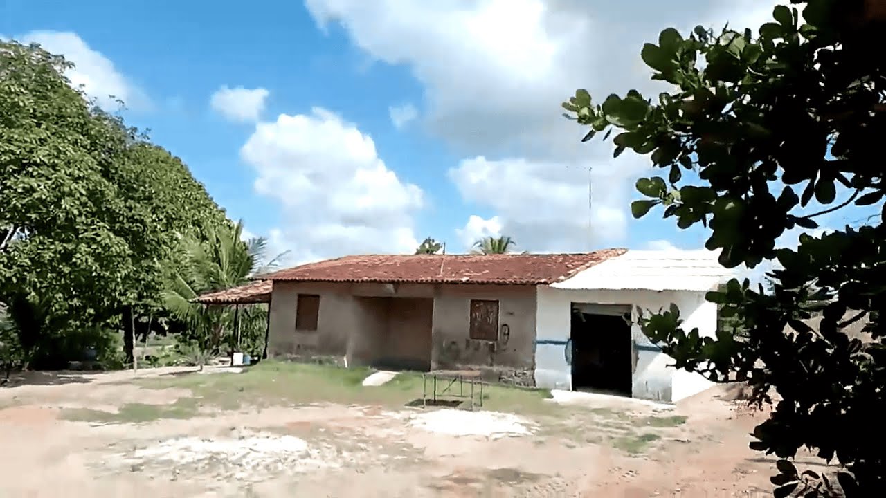 NOSSO SÍTIO DE 8 HECTARES | NOSSA CASA NA ROÇA | ENGENHO UBÚ GOIANA PERNAMBUCO
