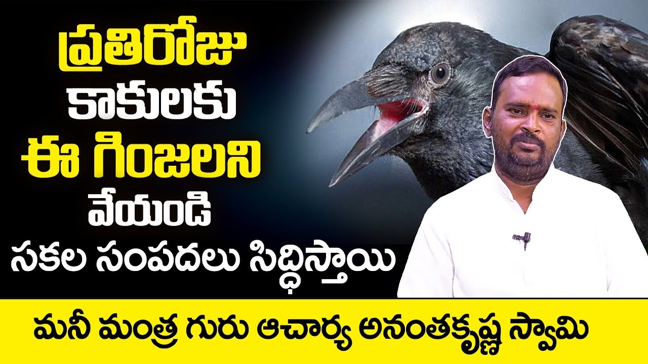 Chitti Tantra: Acharya Anantha Krishna Swamy about Millionaire Money Mantra | SumanTV Anchor NAG