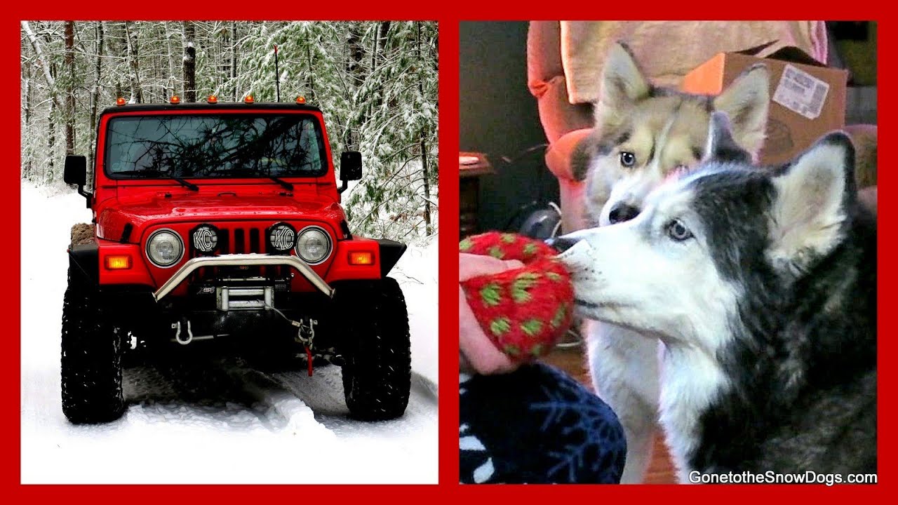 DRONE JEEP | Oakley Took Shelby's Ball