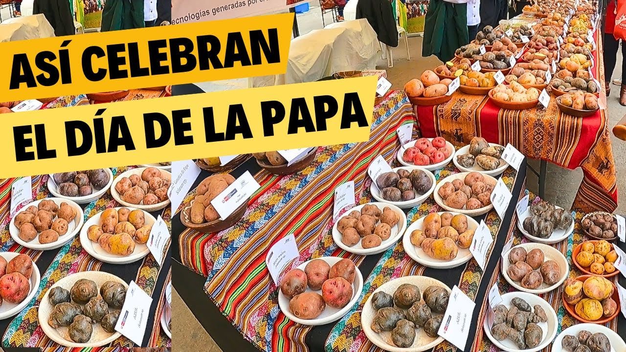 Más de 3 mil papas en el Festival de la Papa Nativa del Perú🥔✨