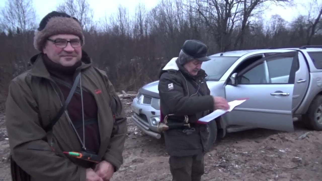 Монопородные состязания русских гончих по зайцу беляку на 