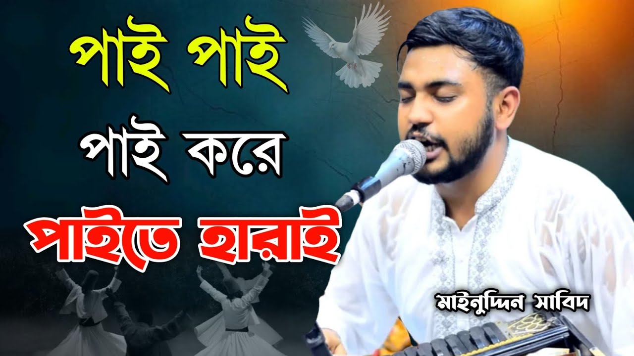 পাই পাই পাই করে পাইতে হারাই | দেখি দেখি করে চৌকিতে নাই | শিল্পী মাঈনুদ্দীন সাবিদ | New Vandari Song 