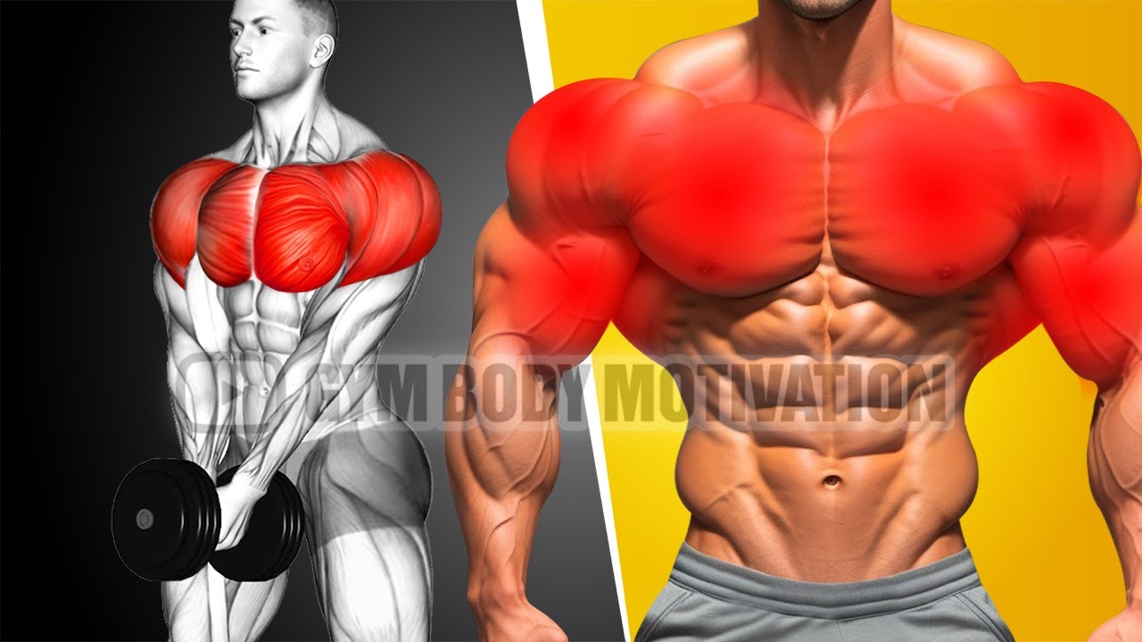 PERFECT Upper Body Workout for Growth