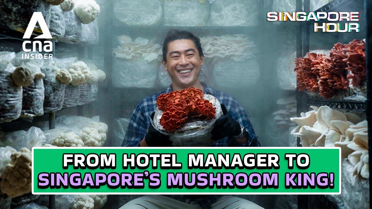 How I Grew A Mushroom Empire From My Bedroom | Singapore Hour