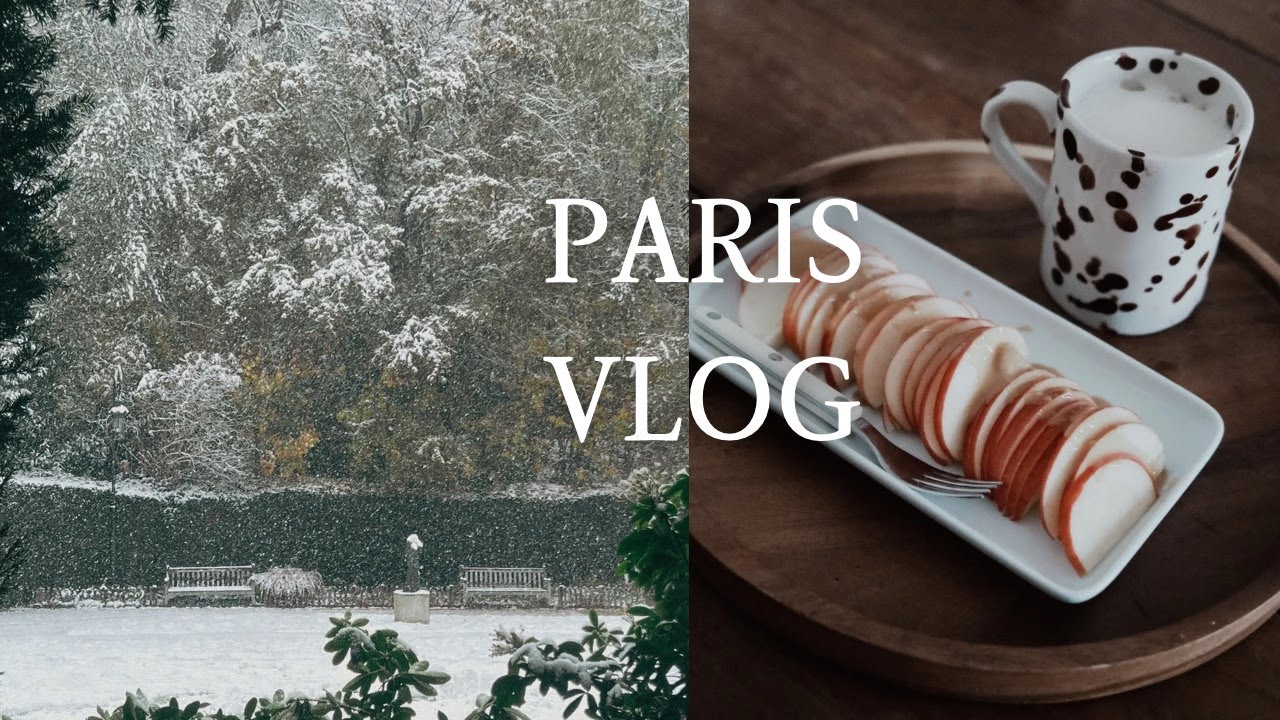 Paris vlog l  파리 유학생 브이로그, 파리 일상