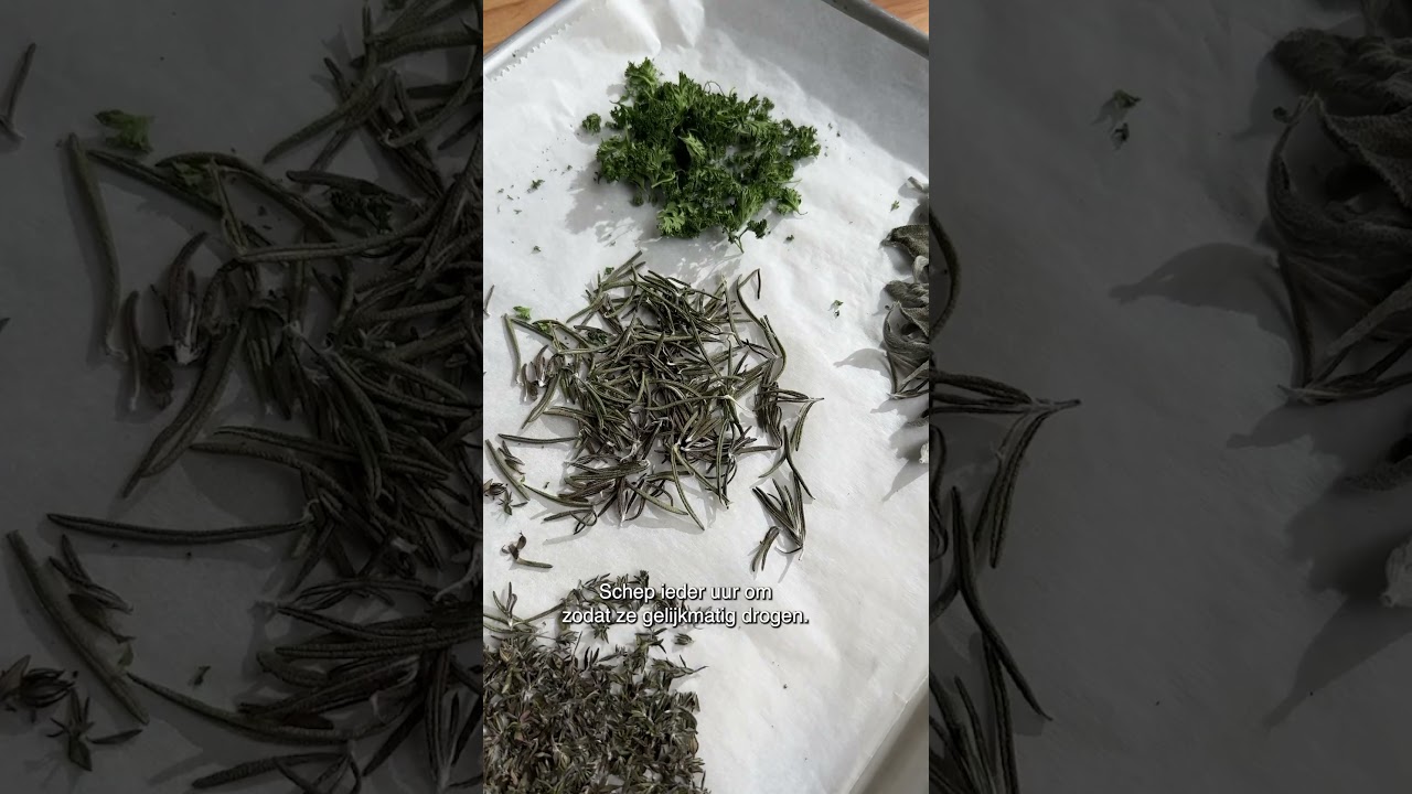No waste: verse kruiden drogen | #shorts | Allerhande