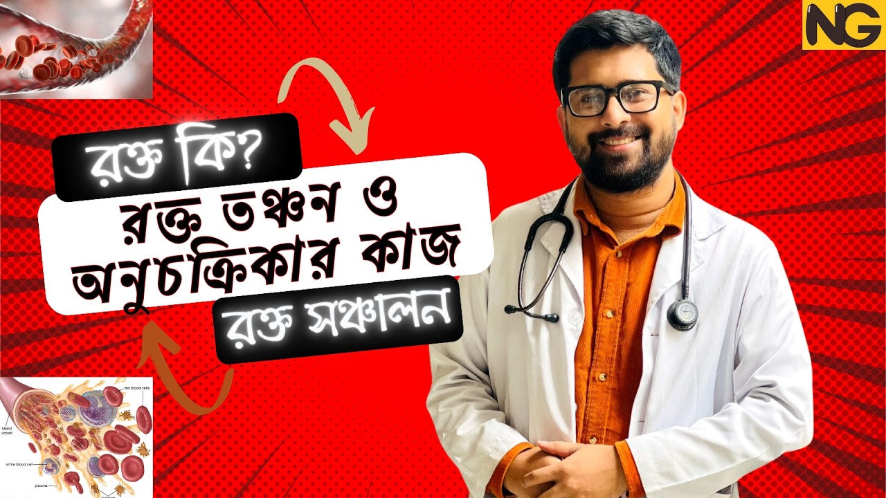 রক্ত কি? রক্ত তঞ্চন ও অনুচক্রিকার কাজ | রক্ত সঞ্চালন | Blood & Circulation | HSC Biology