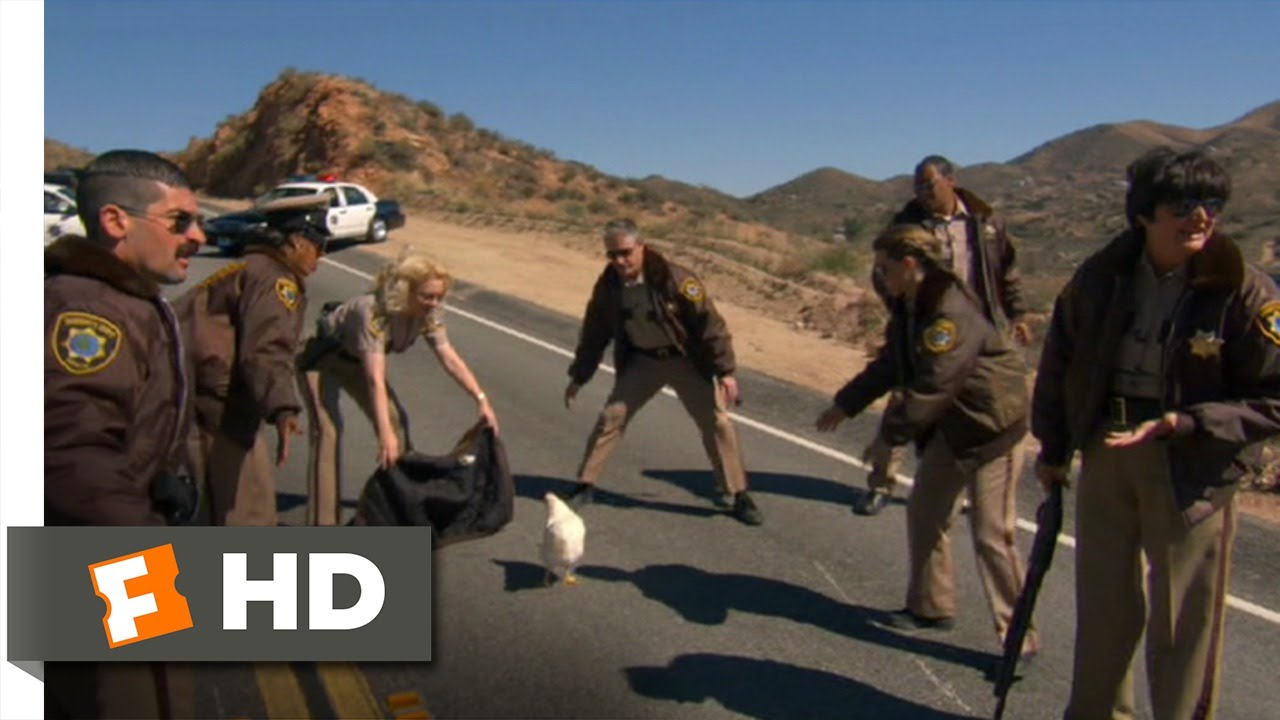 Reno 911!: Miami (2/10) Movie CLIP - Stop, Chicken, Stop! (2007) HD