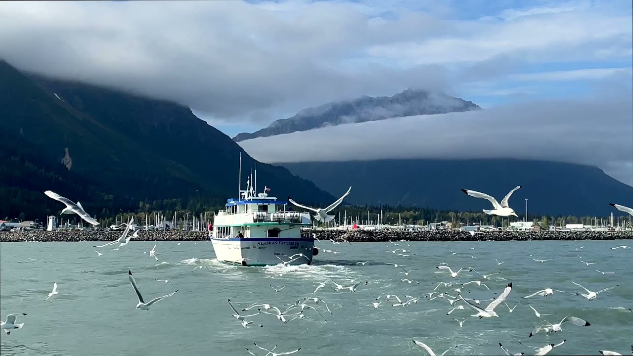 Seward, Alaska Fishing August 2021 4K