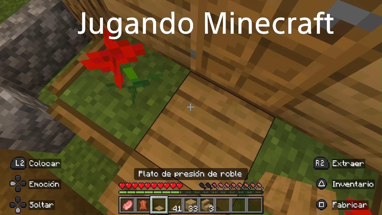 Jugando Minecraft