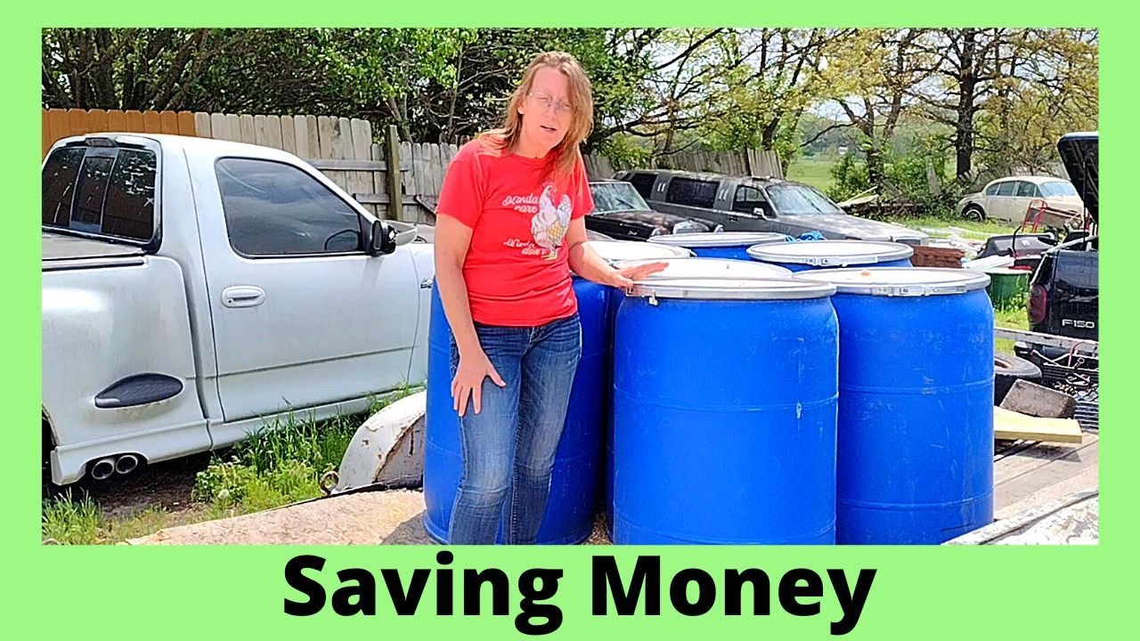 Buying Bulk Chicken Feed