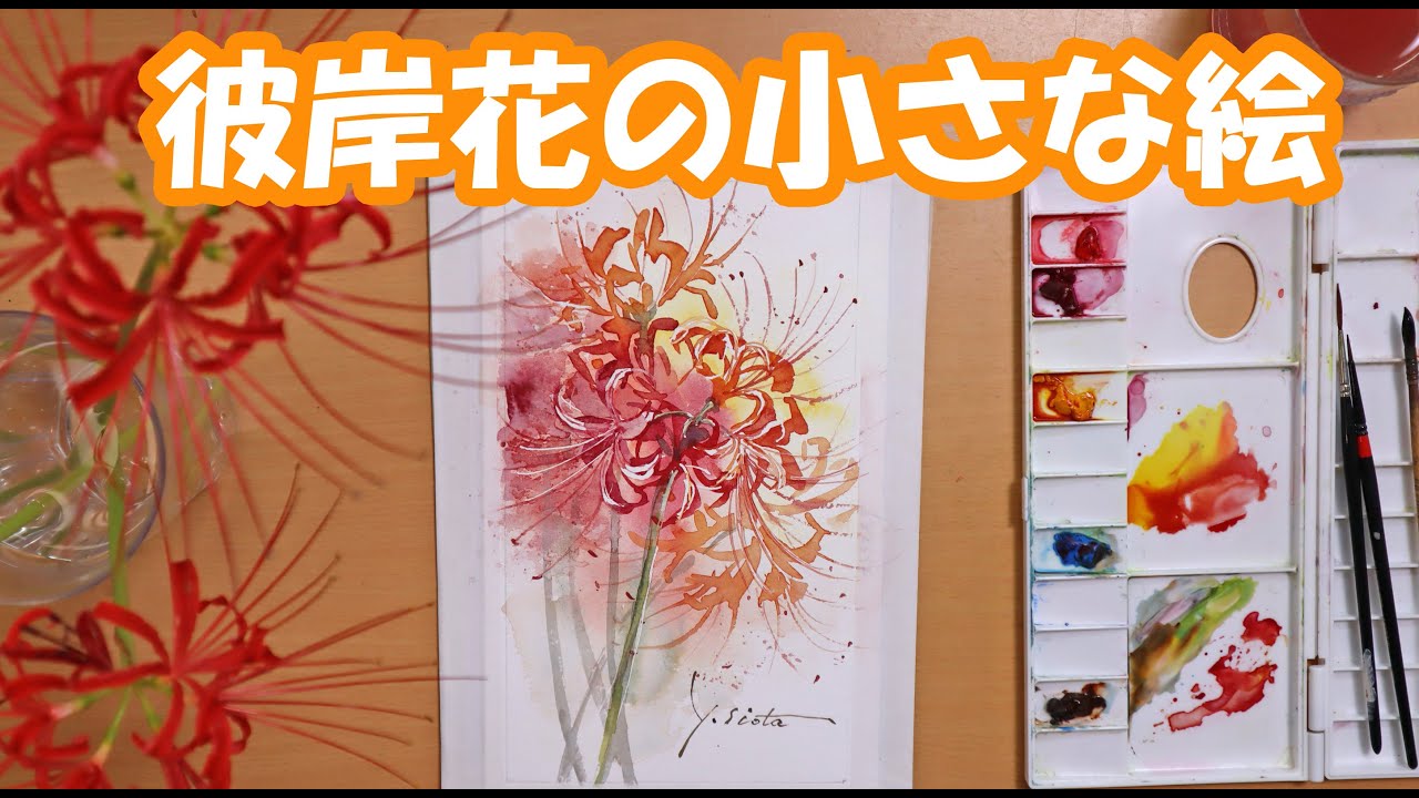 【透明水彩画】彼岸花の小さな絵