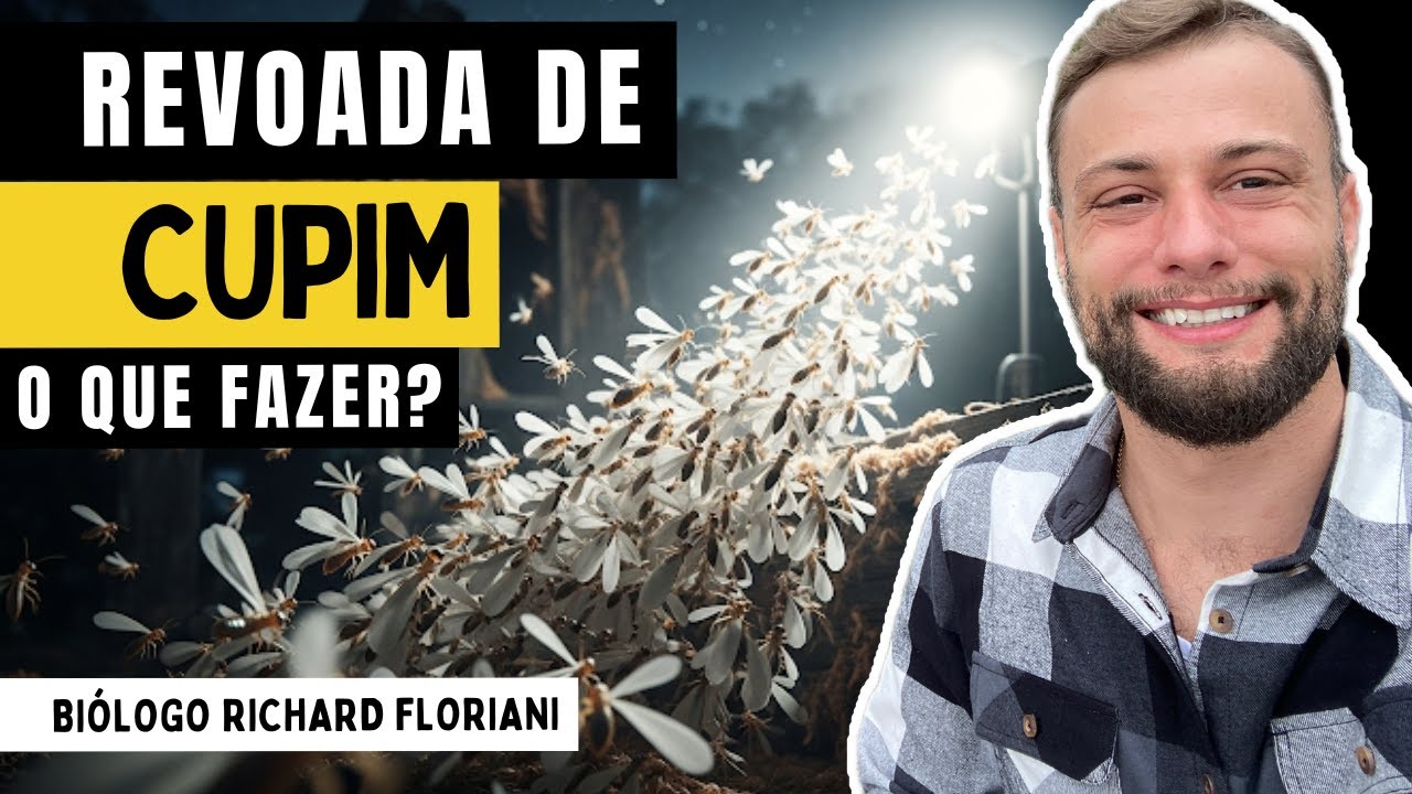Como ELIMINAR cupim voador (Siriris e Aleluias) da sua casa DEFINITIVAMENTE