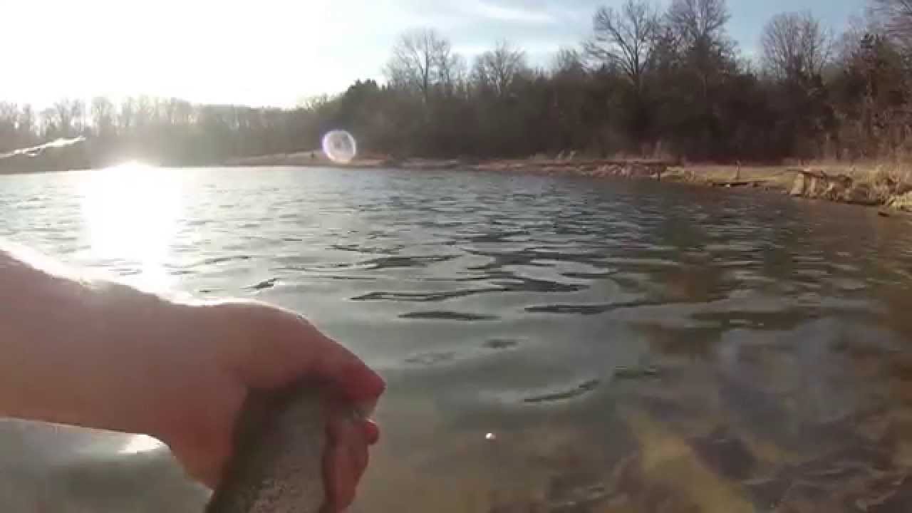 Busch Wildlife Trout Fishing
