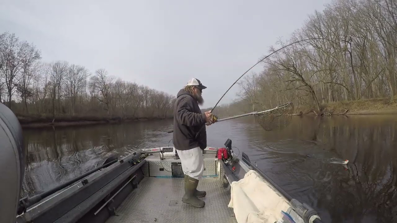 steelhead fishing