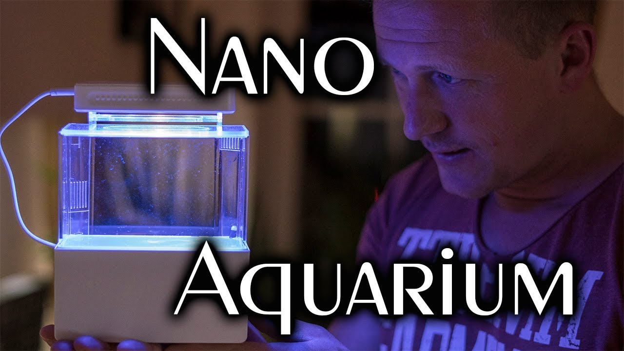 Nano Salzwasseraquarium Teil 1