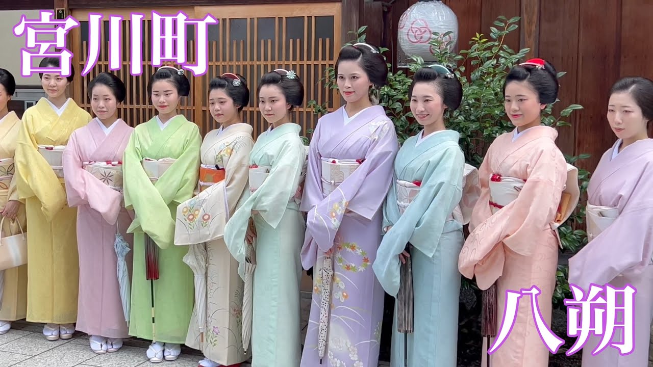 宮川町 華やかな芸舞妓さんたちの挨拶まわり Geisha and maiko making greetings 【4K】八朔