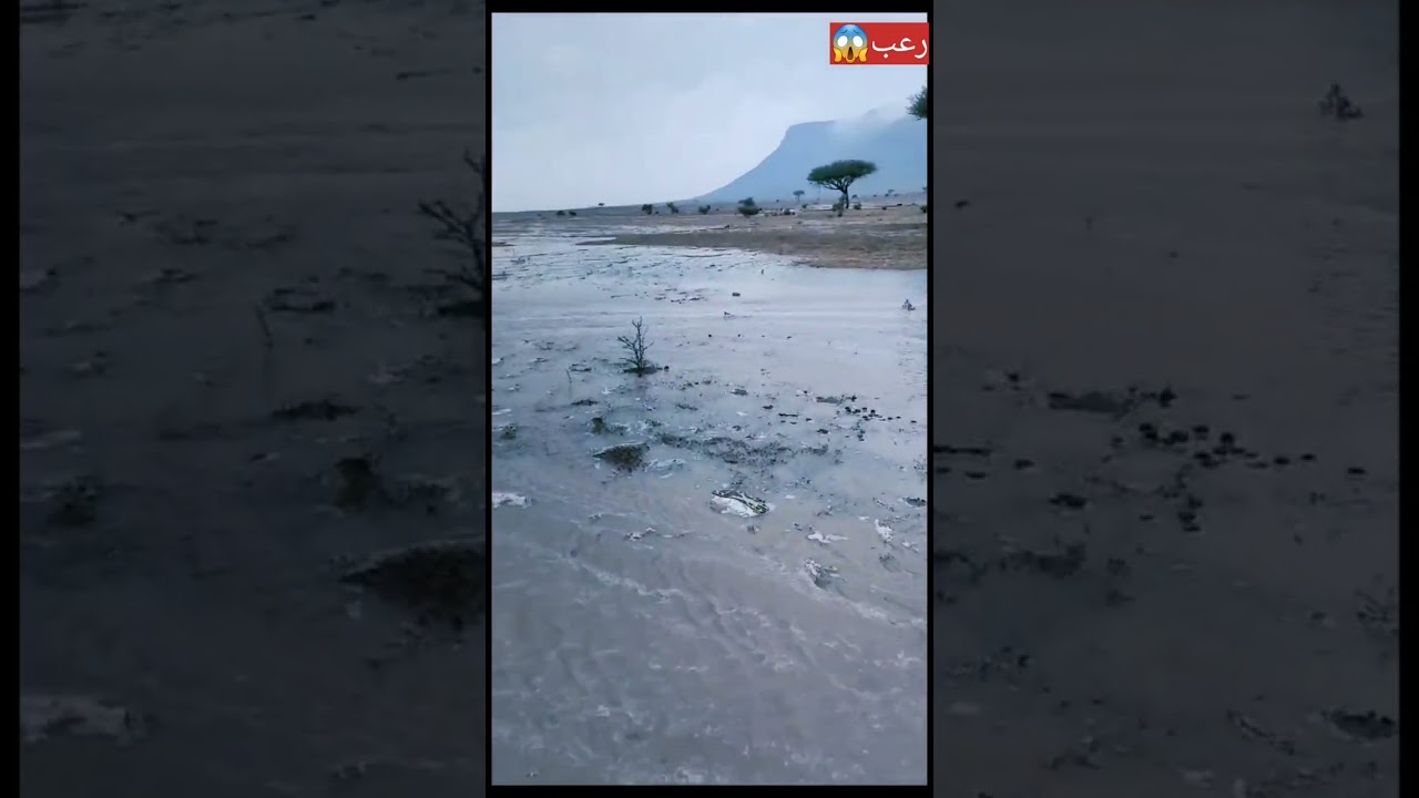 قصة الكنز المحروس عام 1416ه