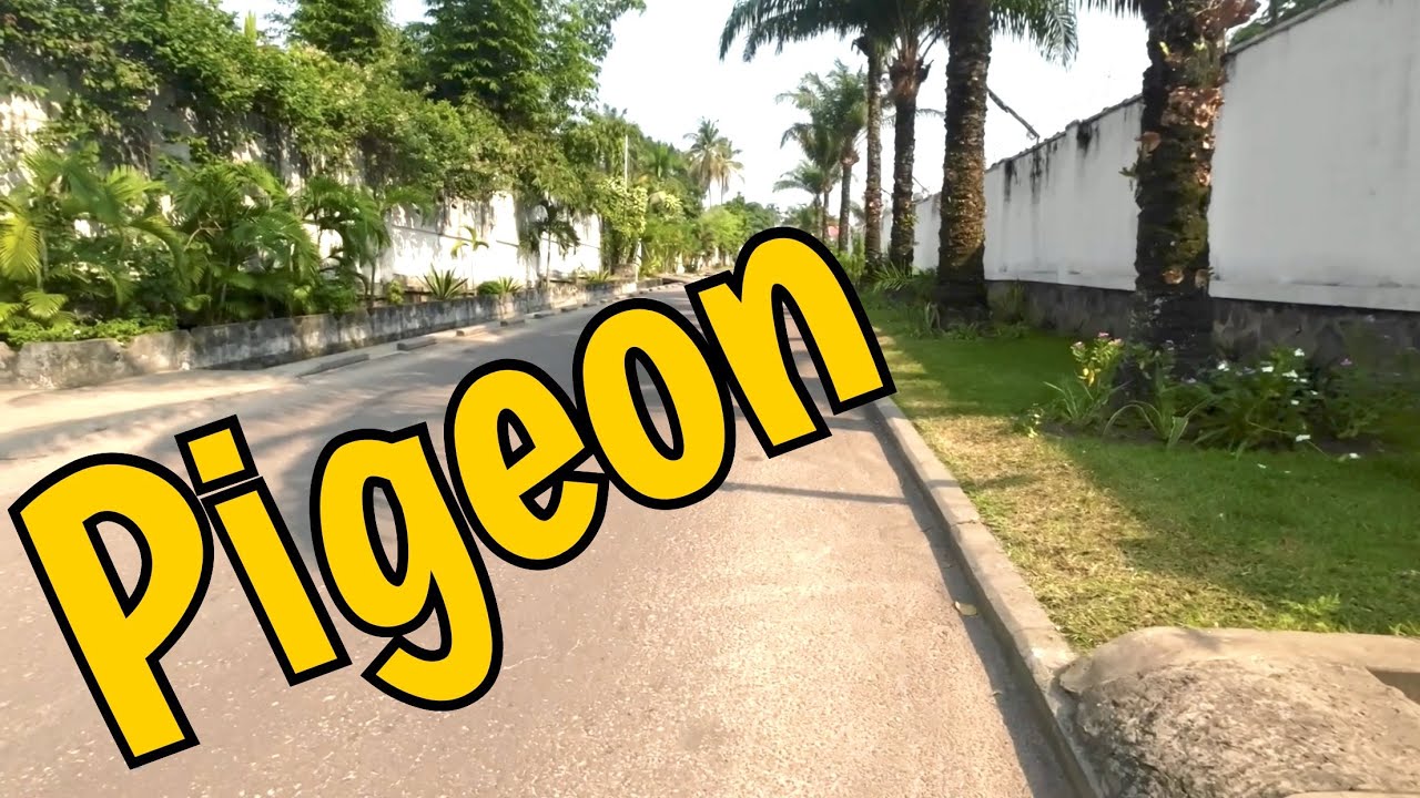 Kinshasa: A walk in Quartier Binza Pigeon