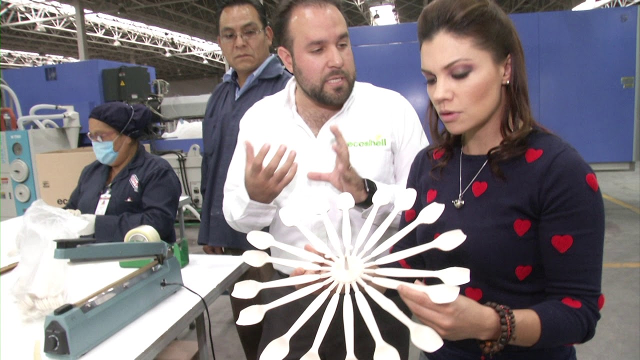 TRASTES BIODEGRADABLES