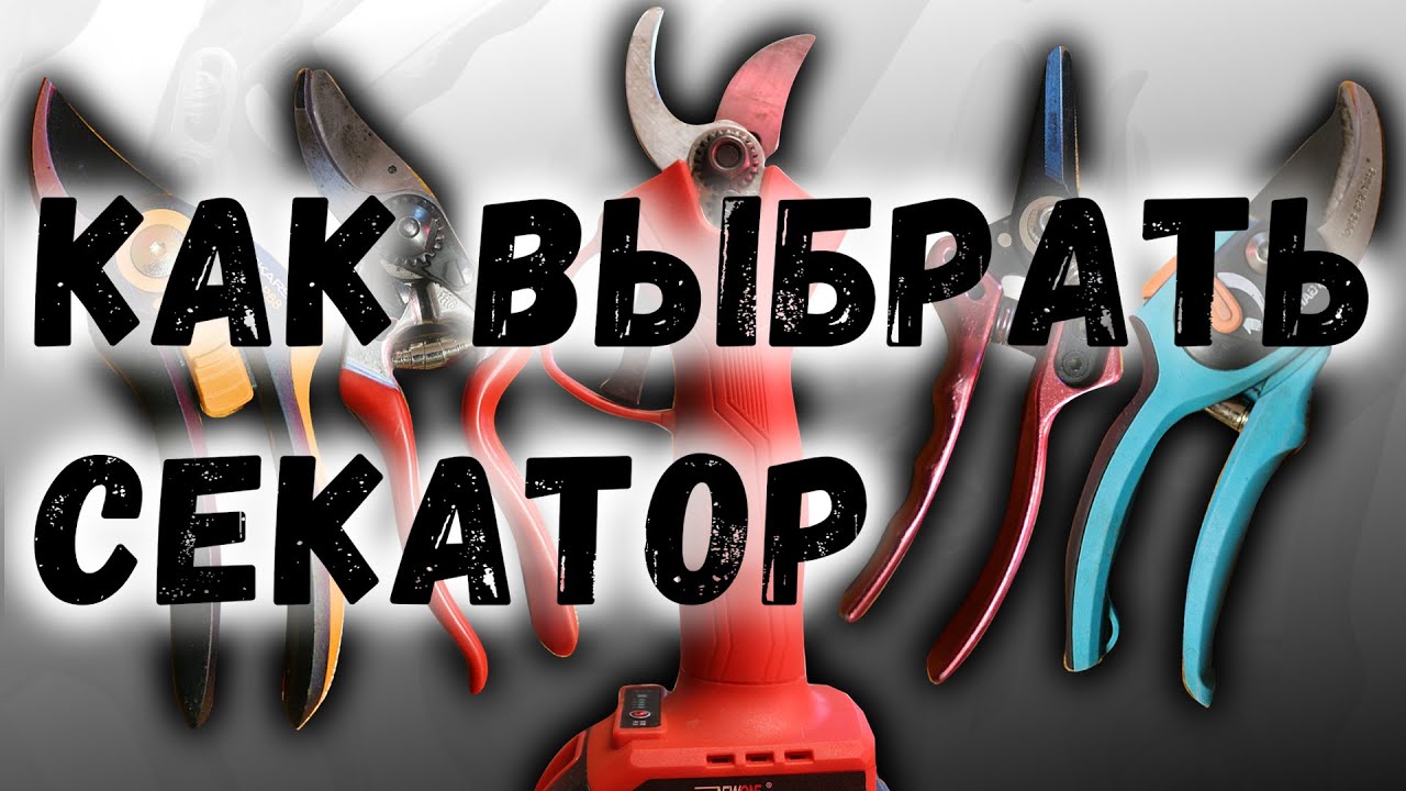 Как выбрать секатор?