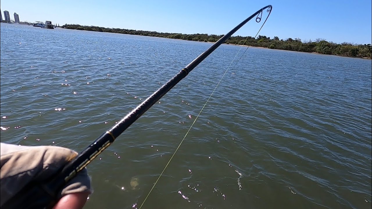 So many bream on the flats! || Gold Coast lure flats fishing