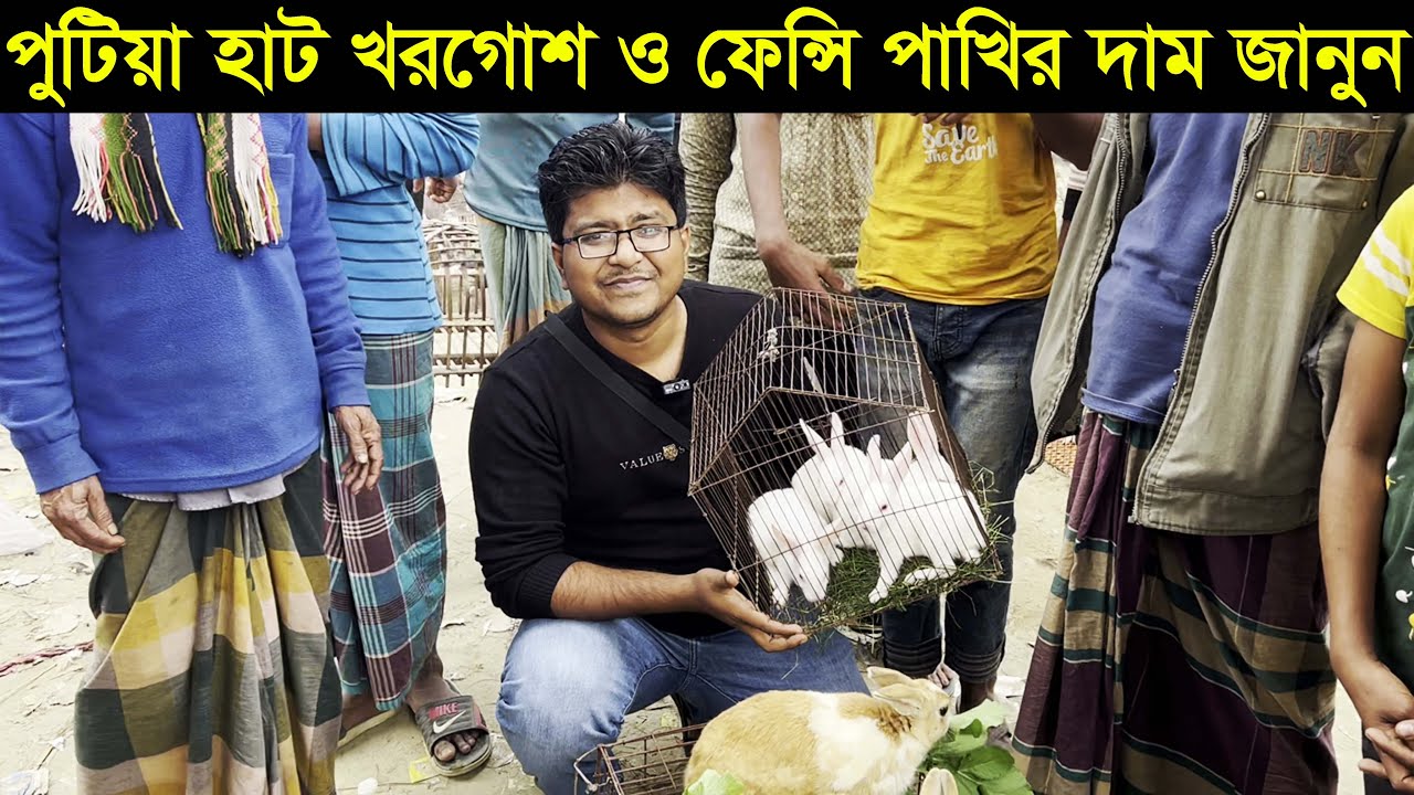 নরসিংদীর বিখ্যাত পুটিয়া গরুর হাট থেকে খরগোশ,কবুতর ও ফেন্সি পাখির দাম জানুন putia gurur haat