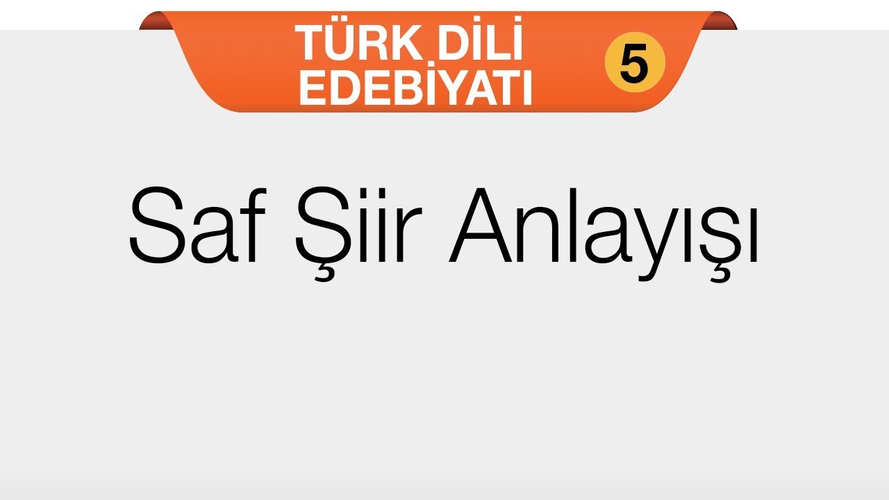 Şiir - Saf Şiir Anlayışı