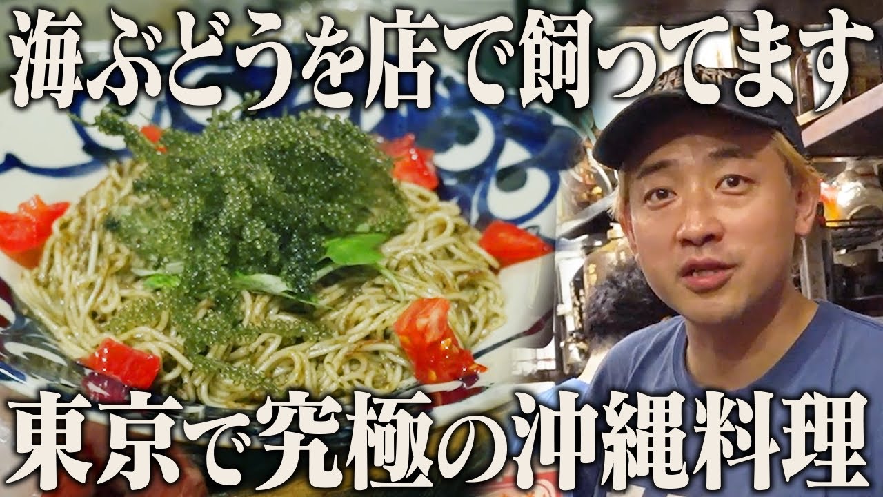 沖縄狂愛店主の「100種の沖縄料理＆100種の泡盛を置いてます」に常連も「レベチすぎる」と太鼓判！沖縄料理店の1日に密着【沖縄酒場SABANI】【東京 杉並】