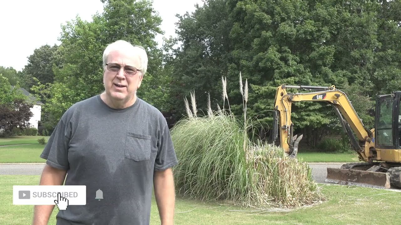 HOW TO REMOVE PAMPAS GRASS?? - Yellow Jackets - Heavy Equipment | FREE