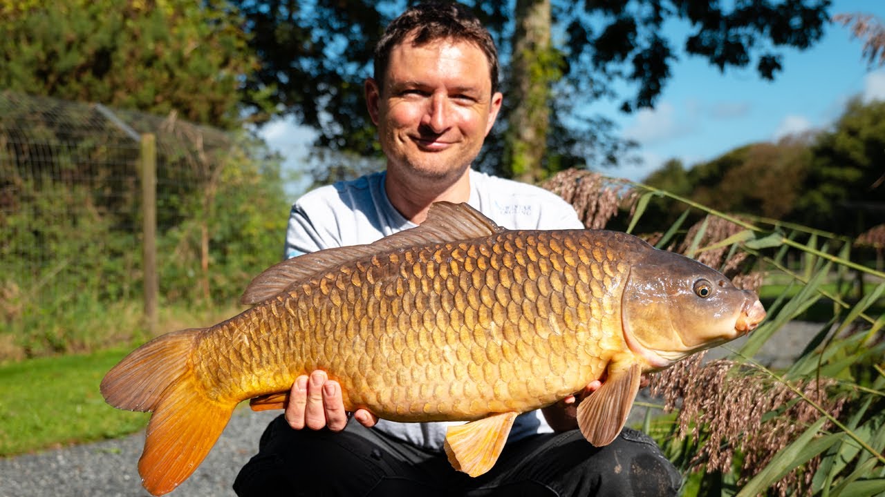 Autumn Carp Fishing on the Specimen Lake | Carp Fishing Cornwall, Gwinear Specimen Lake