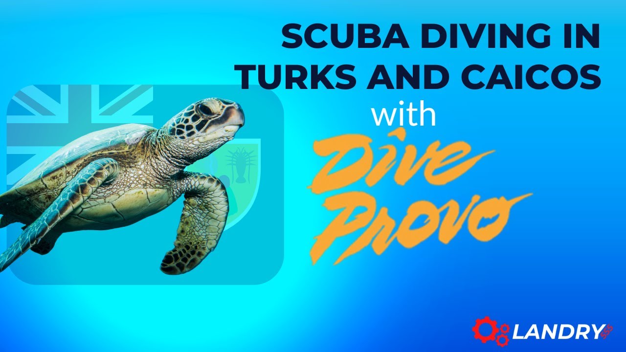 Scuba Diving in TCI with Dive Provo