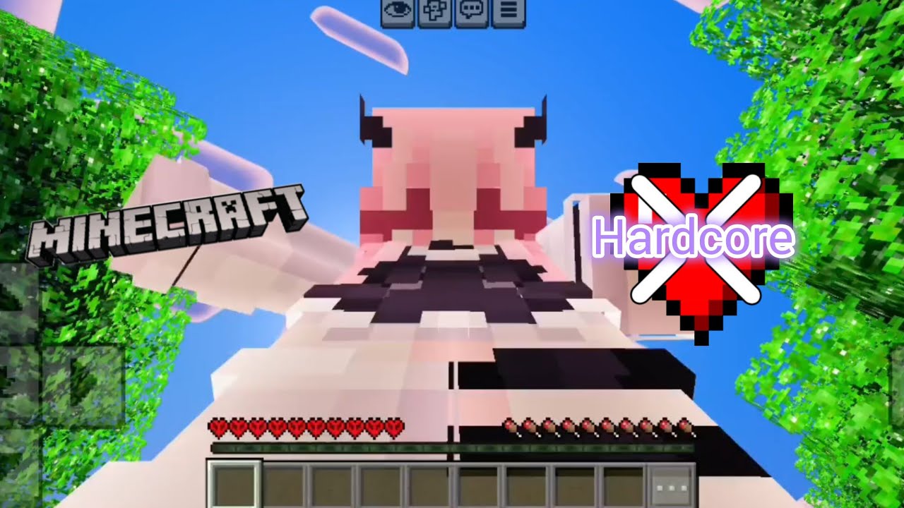 When I randomly started playing in hardcore mode | DiveTyPinkcuteX4 Minecraft Hardcore