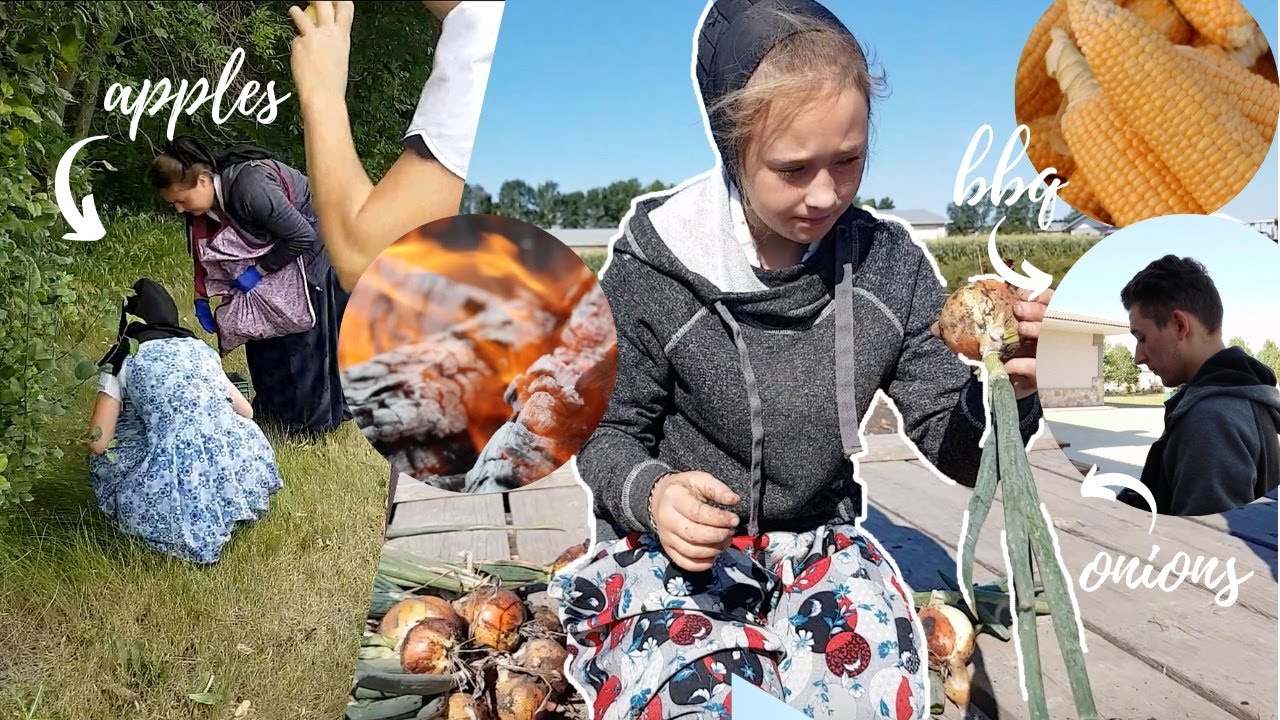 Vlog #69 Work week, cougar sighting near our colony??? + cooking Q&A
