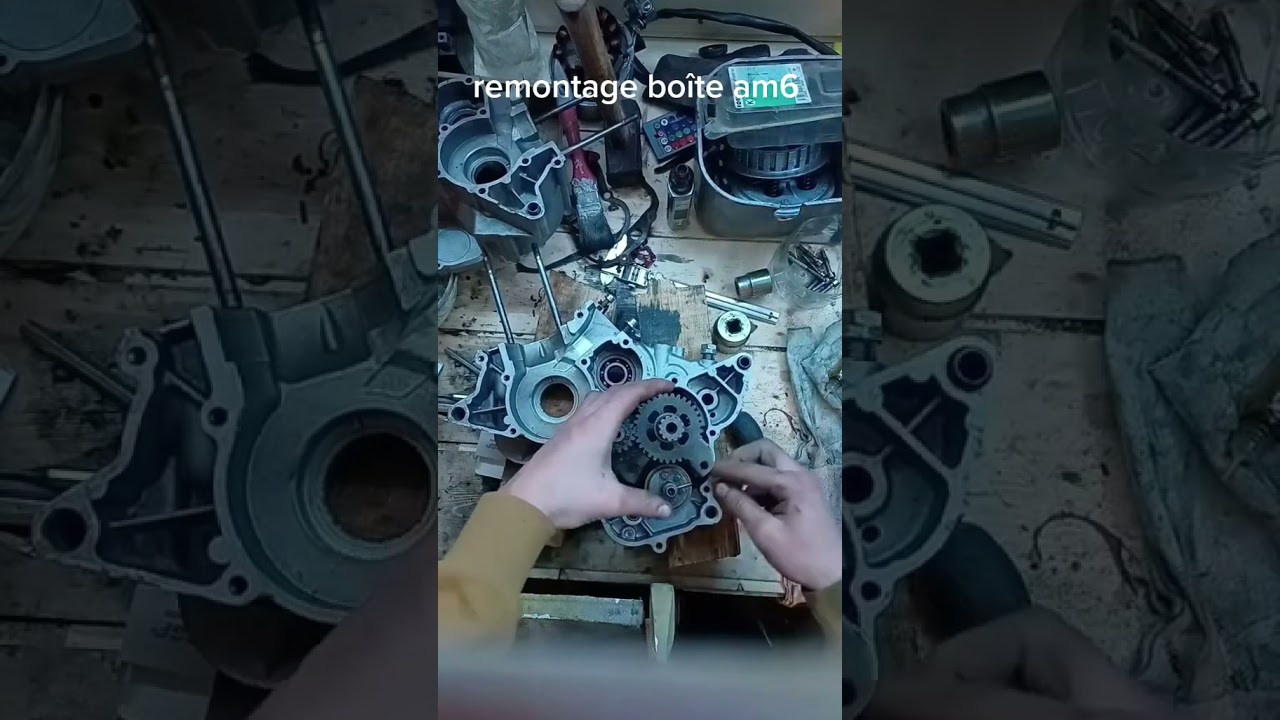 Montage du moteur am6-montaggio motore am6