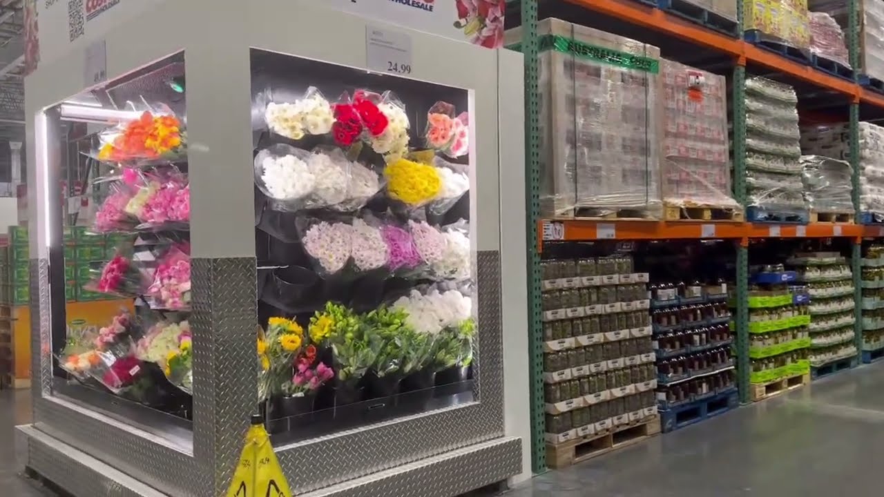 Shop with me at Costco during Christmas break 