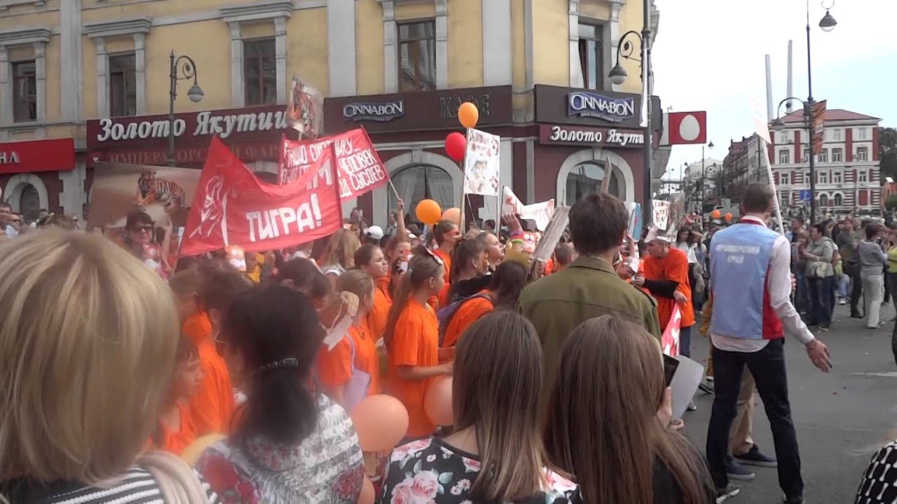 Tiger Day Vladivostok 2015