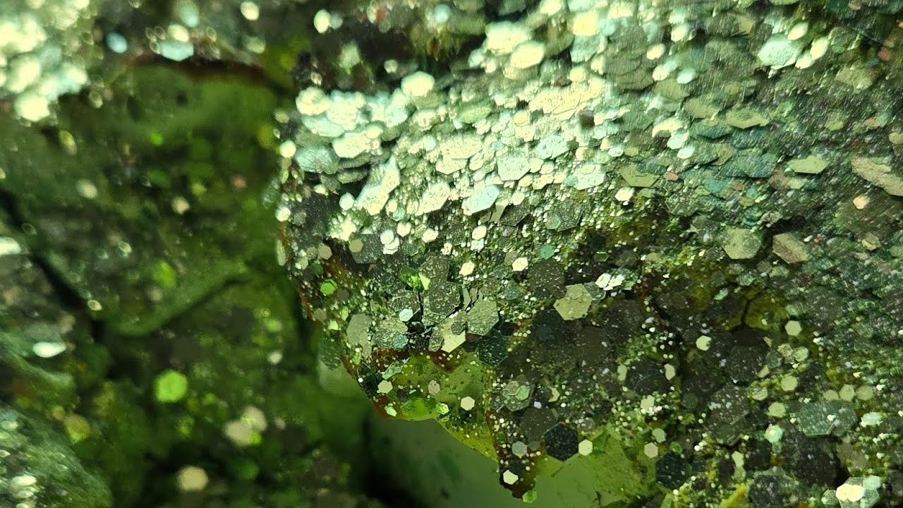 Green collab with 