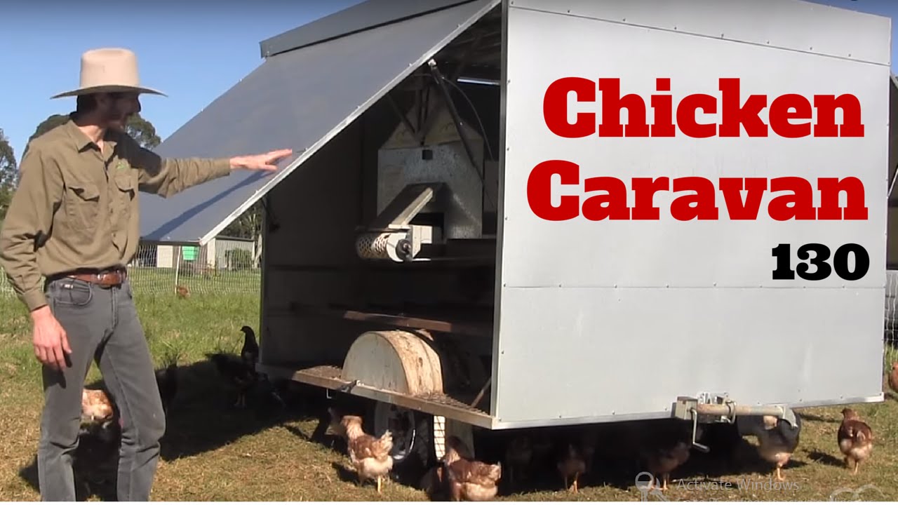 Chicken Caravan 130